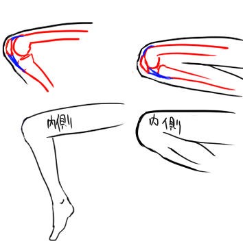 膝について イラストのはなしをしよう