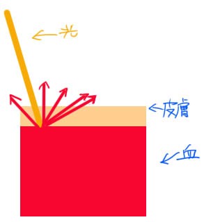 強い光が当たっている肌と肌の陰の境界線に彩度の高い色を塗る理由 イラストのはなしをしよう
