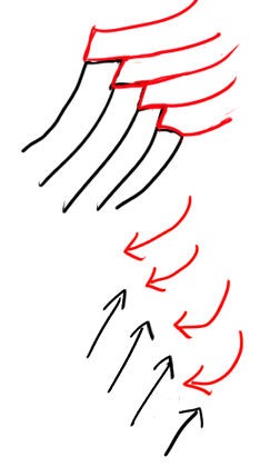 体の側面の筋肉 イラストのはなしをしよう