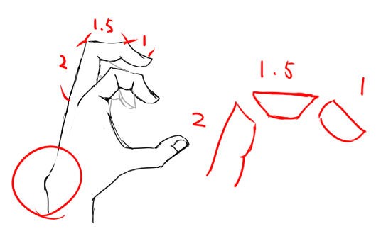 手を描くために 手の特徴2 イラストのはなしをしよう