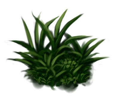 草の描き方 イラストのはなしをしよう