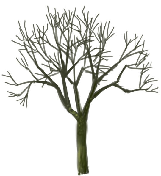 木の描き方と葉っぱ用saiカスタムブラシ ブラシ追加方法も