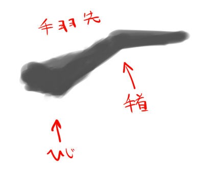 個人的な翼の描き方 イラストのはなしをしよう