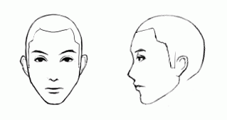Gifアニメ ふかんの正面顔を描く イラストのはなしをしよう Gifアニメ ふかんの正面顔を描く イラストのはなしをしよう