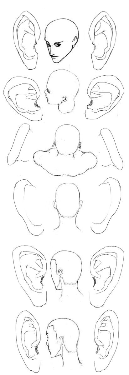 耳の角度色々2 イラストのはなしをしよう