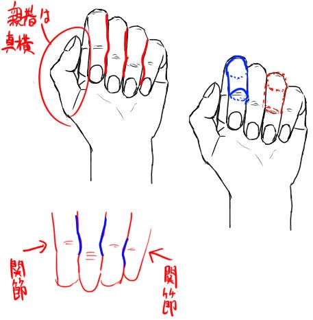 手を描くために 手の特徴2 イラストのはなしをしよう