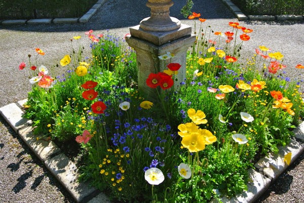 星の王子さまミュージアム ジニアとバラと : 吉谷桂子のガーデニングブログ