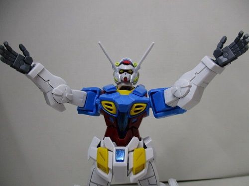 Hg ガンダム G セルフ パーフェクトパック装備型 レビュー Seriousness