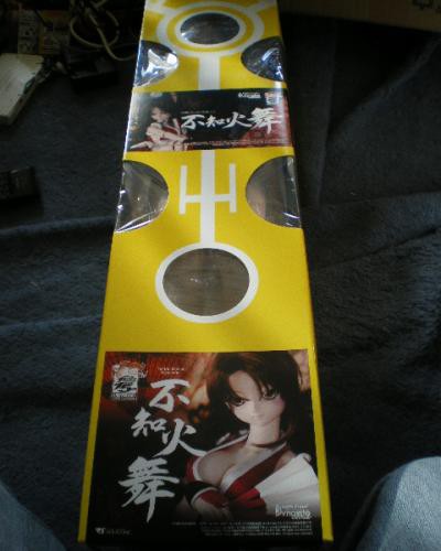 20120113 ドルフィードリームダイナマイト 不知火舞 レビュー