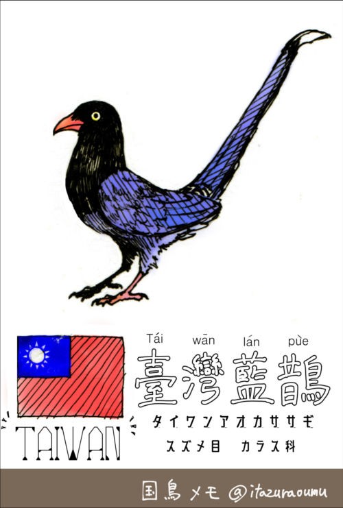 国鳥メモ 台湾 いたずらオウムの生活雑記 国鳥メモ 台湾 いたずらオウムの生活雑記