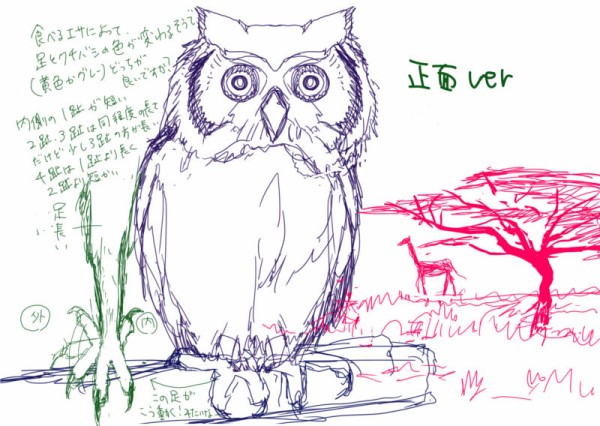 建築知識２０１８年９月号の鳥イラスト描かせて頂きました いたずらオウムの生活雑記