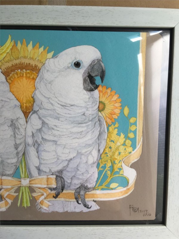 イラスト タイハクオウムとキバタン いたずらオウムの生活雑記