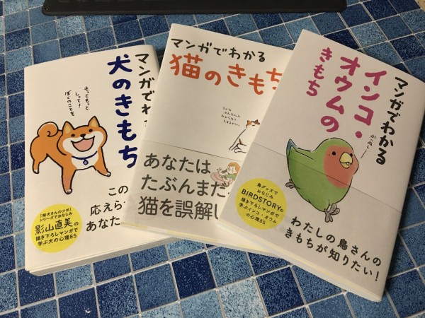 インコやオウムに興味を持ち始めたくらいの人にオススメ : いたずら