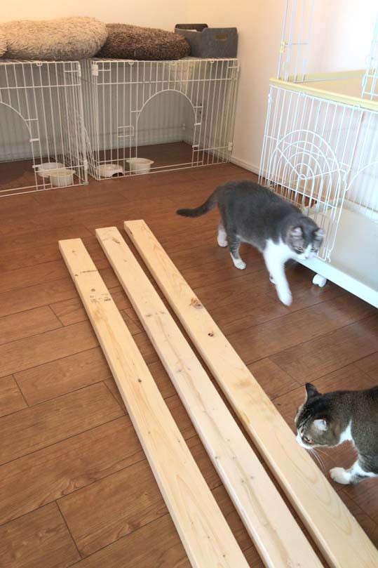 ねこ部屋に壁を自作する 空カフェ ゆる猫との暮らし Powered By ライブドアブログ