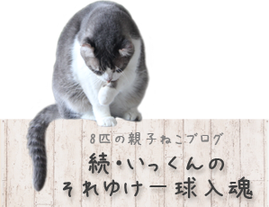 おすましにゃんこの かりふわトーストプレート 空カフェ ゆる猫との暮らし Powered By ライブドアブログ