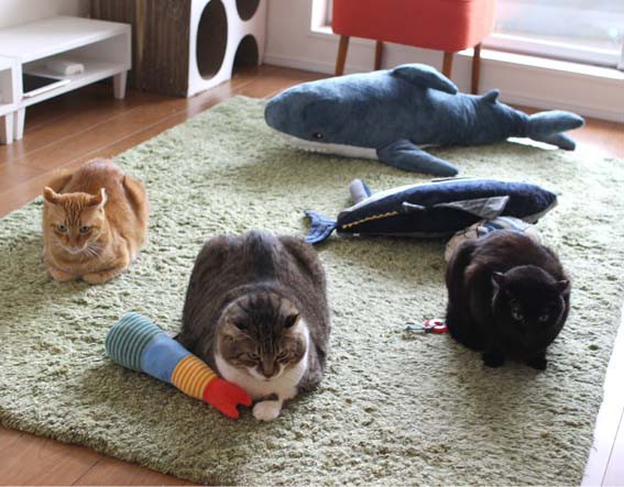 男の中の 男たち風 続 いっくんのそれゆけ一球入魂 Powered By ライブドアブログ