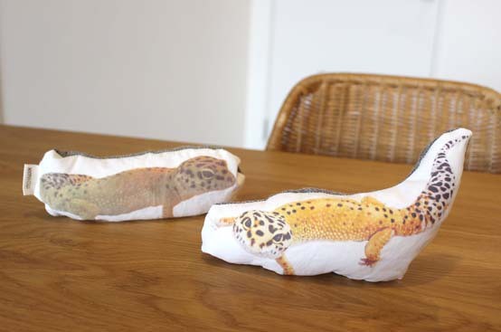 多頭飼いのデメリット と 珍獣女子 続 いっくんのそれゆけ一球入魂 Powered By ライブドアブログ