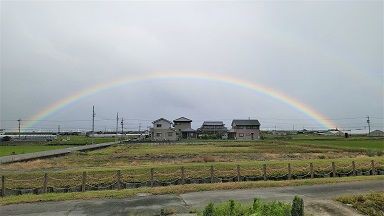 虹を見た 日々好々爺