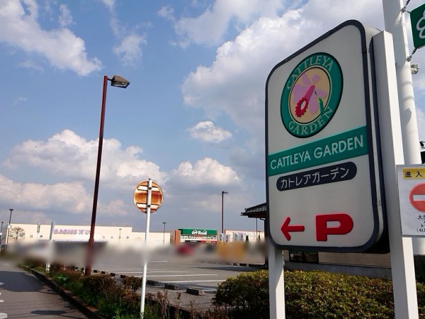 インターパークにあるアパレルショップ マックハウス 宇都宮インターパーク店 Mac House が閉店するらしい うつのみや通信 栃木県 宇都宮市の地域情報サイト