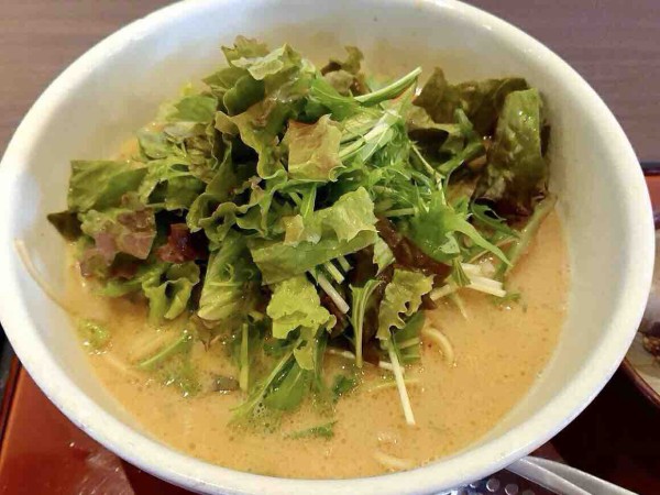 西川田町に移転オープンした担々麺専門店 發巳 西川田店 はつみ で 野菜たっぷり担々麺 食べてみた うつのみや通信 栃木県宇都宮市の地域情報サイト