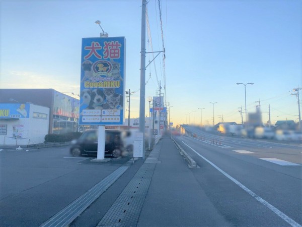 御幸ヶ原町にあるペットショップ Coo Riku 宇都宮店 クーアンドリク がリニューアルのため一時閉店するらしい うつのみや通信 栃木県 宇都宮市の地域情報サイト 御幸ヶ原町にあるペットショップ Coo Riku 宇都宮店 クーアンドリク がリニューアルのため一時閉店するらしい うつのみや通信 栃木県 宇都宮市の地域情報サイト