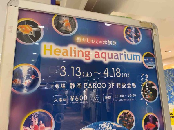 葵区紺屋町 静岡パルコ 3階で開催中の Healing Aquarium 癒しのミニ水族館 行ってみた 4 18まで しずおか通信 静岡県 静岡市の地域情報サイト