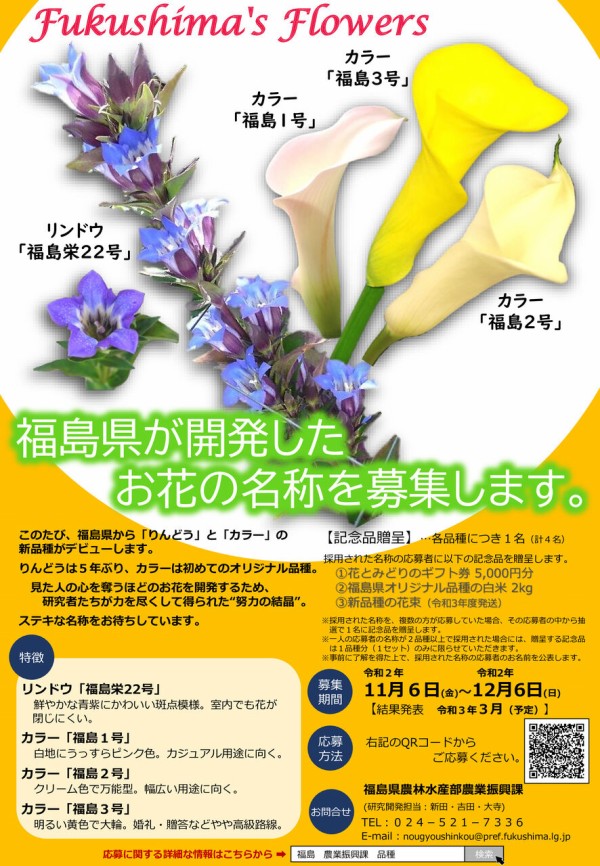 自分が考えた名前が花の名称に 新しくデビューする りんどう と カラー の名付け親になろう 福島県オリジナル花き品種 の名称募集中 12月6日まで こおりやま通信 福島県郡山市の地域情報サイト