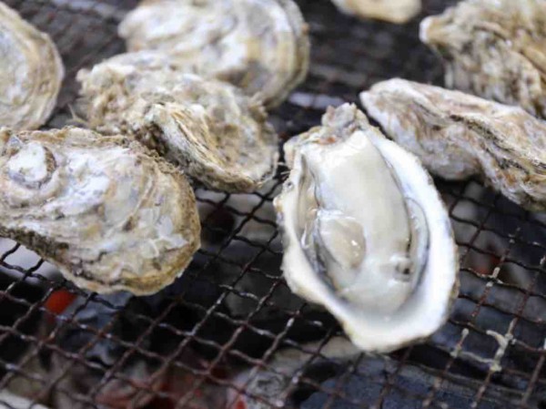 東北の牡蠣が長野で食べられる セントラルスクゥエア で 出張カキ小屋 牡蠣奉行 Inながの表参道セントラルスクゥエア 開催 10月24日 11月3日まで ながの通信 長野県長野市の地域情報サイト