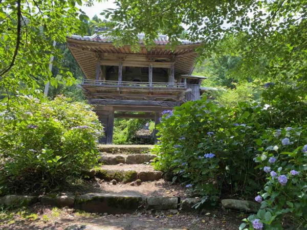 今が見頃 長野市の紫陽花スポット 蓮台寺 れんだいじ に 紫陽花 見に行ってみた 6月29日撮影 ながの通信 長野県長野市の地域情報サイト