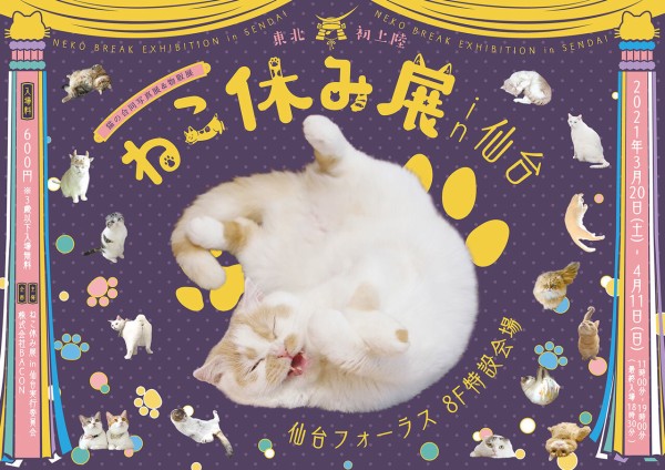 仙台初上陸！猫づくしの世界へ！『仙台フォーラス』で猫の合同写真展 