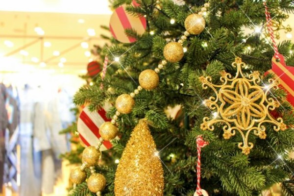 クリスマスワークショップにマルシェやコンサートも 泉区長命ヶ丘 Branch仙台west ブランチ で クリスマスマーケット 開催 12月日 仙台プレス 宮城県仙台市の地域情報サイト クリスマスワークショップにマルシェやコンサートも 泉区長命ヶ丘 Branch仙台west ブランチ で クリスマスマーケット 開催 12月日 仙台プレス 宮城県仙台市の地域情報サイト