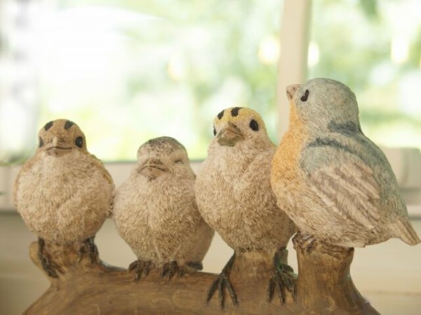 鳥好きによる鳥好きのためのフェスタ 鳥モチーフの雑貨やハンドメイド作品大集合 フォレスト仙台 で 鳥フェス In 仙台 開催 9月5日 6日 仙台プレス 宮城県仙台市の地域情報サイト