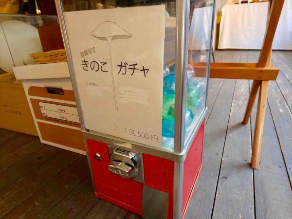 青葉区一番町にある猫グッズ充実の雑貨屋さん Book Zacca Cocochi ブックザッカココチ 行ってみた 仙台プレス 宮城県仙台 市の地域情報サイト