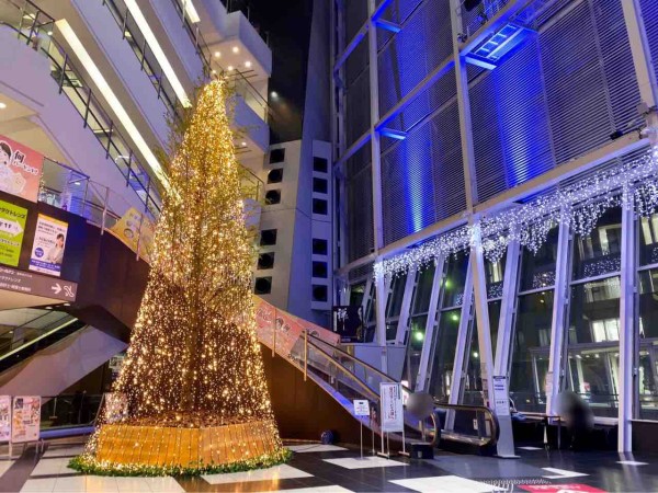 今年も登場 Next21 に 巨大クリスマスツリー 設置 夜のライトアップ見に行ってみた にいがた通信 新潟県新潟市の地域情報サイト