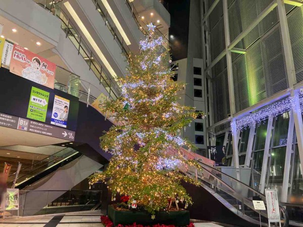 今年も登場 Next21 に 巨大クリスマスツリー 設置 ライトアップ見に行ってみた にいがた通信 新潟県新潟市の地域情報サイト