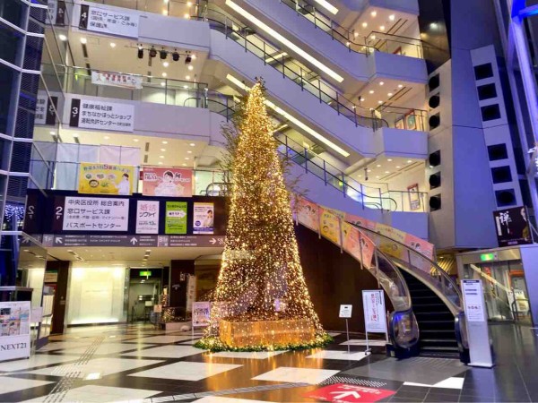 今年も登場 Next21 に 巨大クリスマスツリー 設置 夜のライトアップ見に行ってみた にいがた通信 新潟県新潟市の地域情報サイト