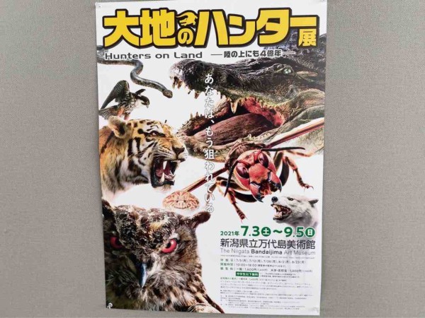 前売券発売開始 すごいハンター大集合 新潟県立万代島美術館 で 大地のハンター展 陸の上にも4億年 開催 7月3日 9月5日 前売券5月21日 にいがた通信 新潟県新潟市の地域情報サイト