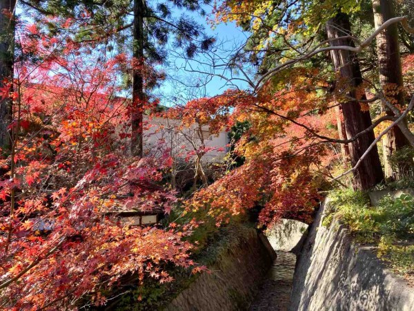 まもなく紅葉シーズン突入 見頃前に新潟市内の紅葉スポットおさらい 紅葉スポット22 まとめ にいがた通信 新潟県新潟市の地域情報サイト