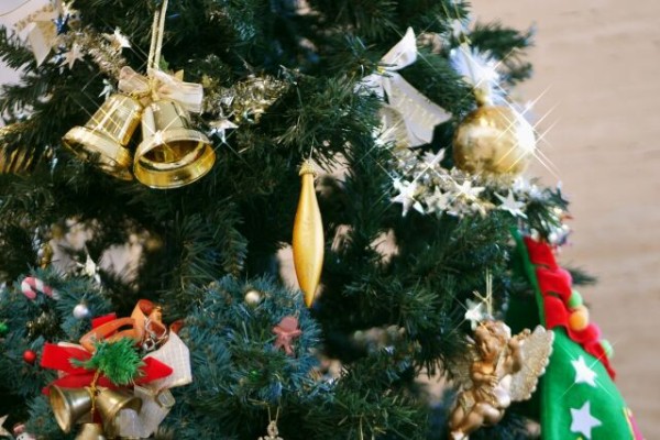 ジャンボツリーに光のトンネル クリスマスは植物に囲まれて過ごす 新潟県立植物園 で クリスマス展 開催 11月26日 12月26日 にいがた通信 新潟県新潟市の地域情報サイト