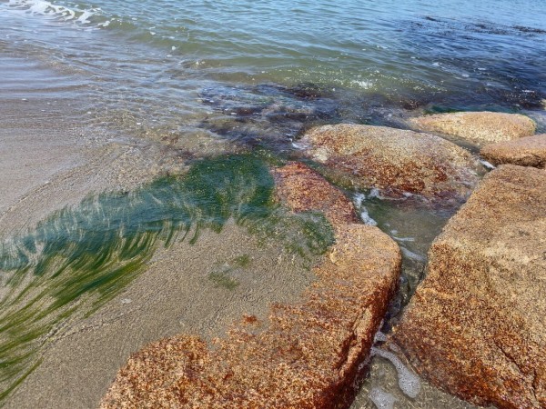 21夏 新潟市の9つの海水浴場が海開き 7月17日 8月22日 日和山浜 は開設なし にいがた通信 新潟県新潟市の地域情報サイト