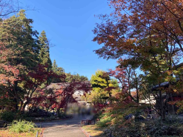 ちょうど見頃！新潟市の紅葉狩り名所！秋葉区金津にある『中野邸記念館 