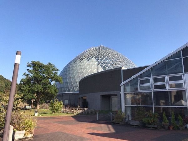 新潟の花 チューリップ で一足早い春を感じよう 秋葉区金津 新潟県立植物園 で チューリップ展 開催 3月3日 21日 にいがた通信 新潟県 新潟市の地域情報サイト