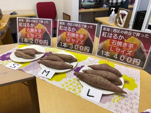 西区坂井東にオープンした焼き芋専門店 ぼくのさつまいも で 紅はるか石焼き芋 買って食べてみた にいがた通信 新潟県新潟市の地域情報サイト