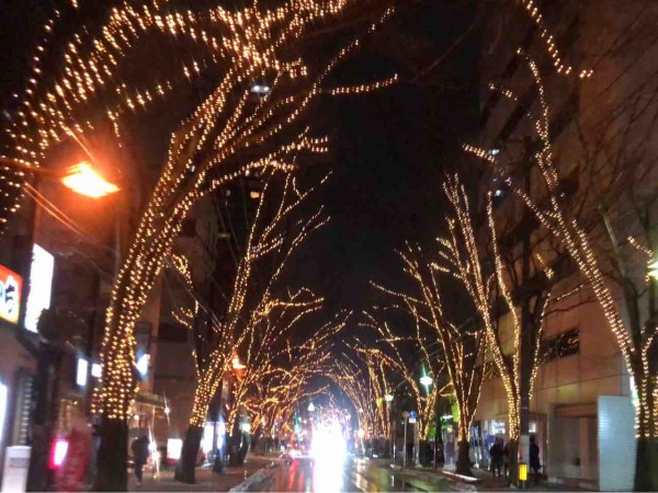 今年も駅南が輝く けやき通りが光のトンネルに The 32nd Niigata 光のページェント19 開催 12月6日 1月31日 点灯式は12月6日 にいがた通信 新潟県新潟市の地域情報サイト