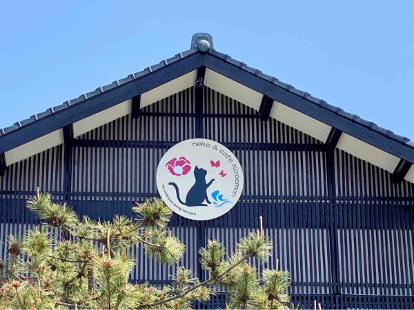 西蒲区間瀬に『neko & cafe Kizaemon』なる猫カフェがオープンする