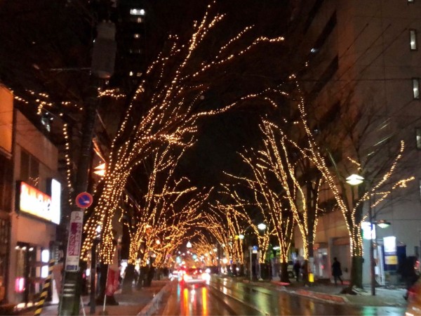 今年も開催 今年は希望の光 けやき通りで Niigata 光のページェント 開催 12月4日 21年1月31日 にいがた通信 新潟県新潟市の地域情報サイト