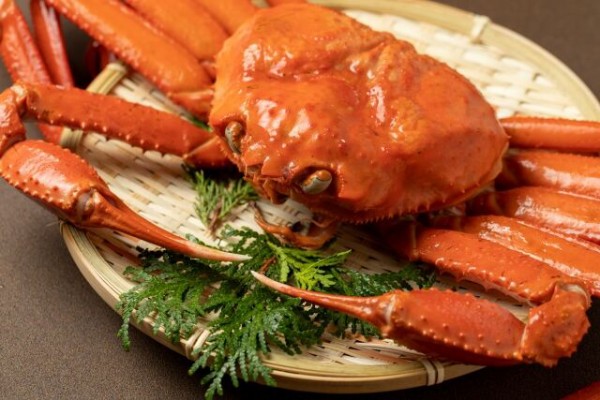 カニ漁解禁！「やわ肌ねぎ」とコラボも！万代島『地魚工房』で『カニ