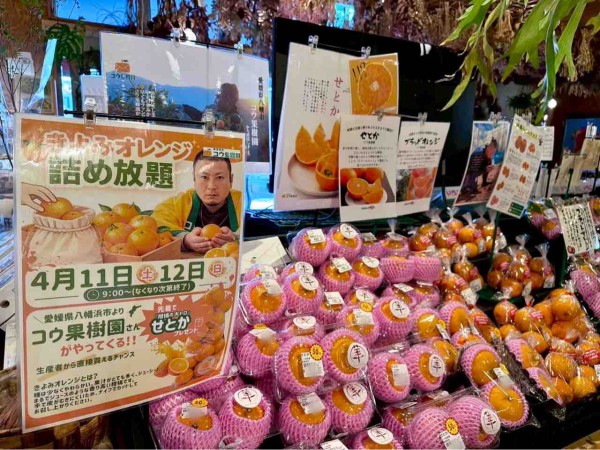 あ*め様 別売り大歓迎!　まとめ買いでやすくします! 愛媛で人気の果樹園『コウ果樹園』が新潟に！『ピアBandai』内にある