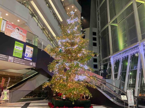 今年も登場 Next21 に 巨大クリスマスツリー 設置 ライトアップ見に行ってみた にいがた通信 新潟県新潟市の地域情報サイト 今年も登場 Next21 に 巨大クリスマスツリー 設置 ライトアップ見に行ってみた にいがた通信 新潟県新潟市の地域情報サイト