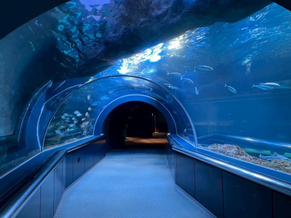 事前申込受付中！夜の水族館を堪能！『マリンピア日本海』で『ナイト